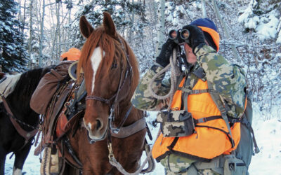 Trust, Leadership, and the Courage to Let Go: Lessons from a Mountain Hunt 